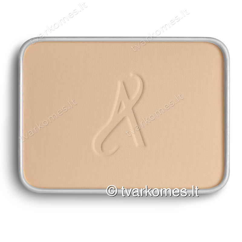 ARTISTRY EXACT FIT™ makiažo pagrindo – pudros pakaitalas (116731) ARTISTRY EXACT FIT™ makiažo pagrindo – pudros pakaitalas (116731)